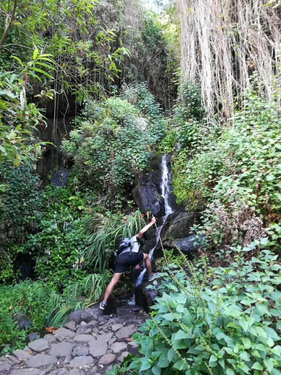 Casa Rural Finca La Maleza Agulo Ngoại thất bức ảnh