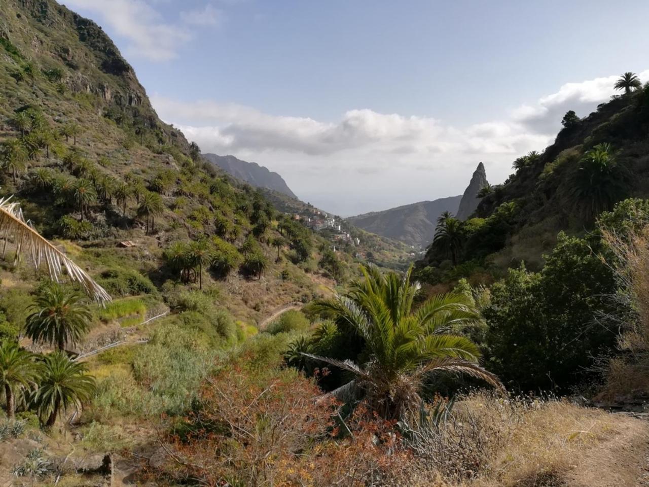 Casa Rural Finca La Maleza Agulo Ngoại thất bức ảnh