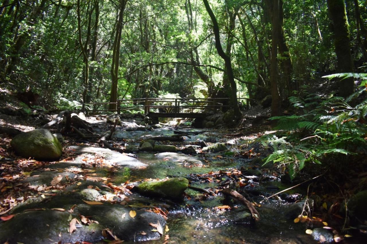 Casa Rural Finca La Maleza Agulo Ngoại thất bức ảnh